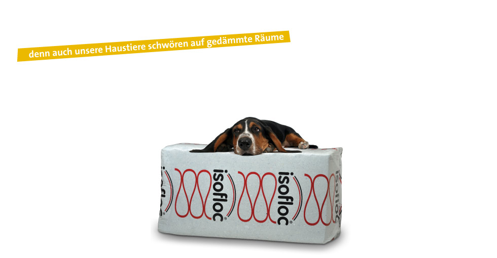 hund.jpg